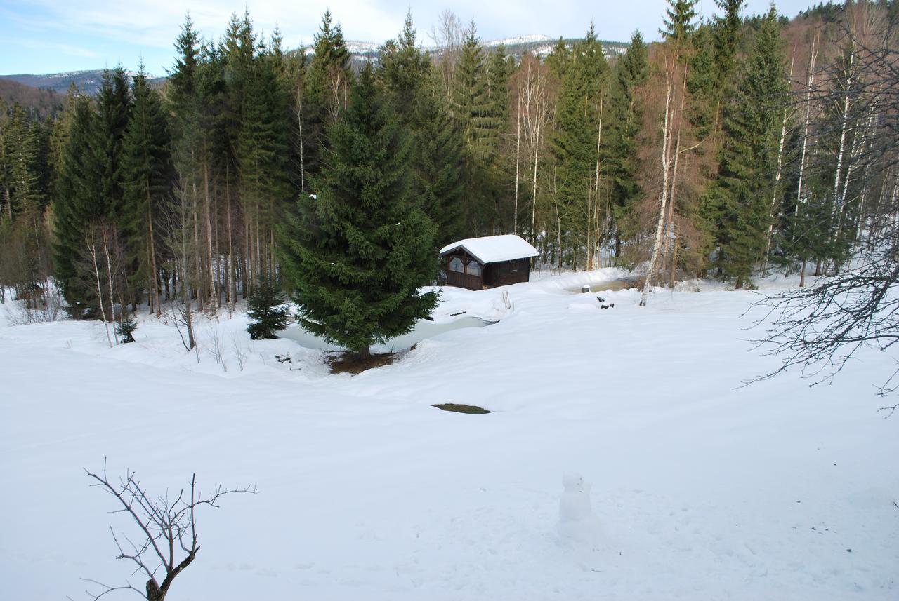 Ferienhaus "Lisa'S Haeusl" Neuschoenau Luaran gambar