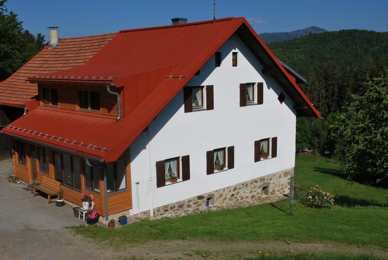 Ferienhaus "Lisa'S Haeusl" Neuschoenau Luaran gambar